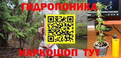 соль ск Ярославль