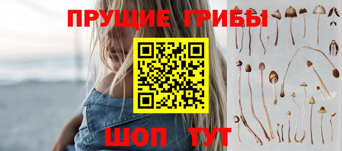 Псилоцибиновые грибы Cubensis Стерлитамак