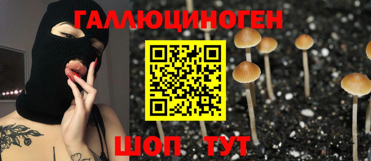 Стерлитамак  купить наркотики сайты  Вход с VPN  Галлюциногенные грибы Psilocybine cubensis 